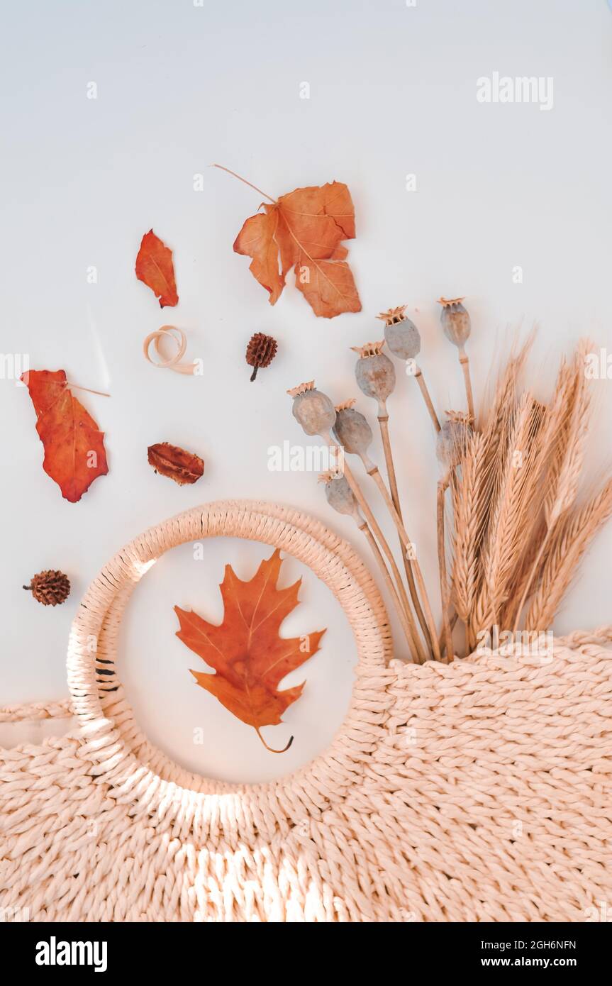 autumn leaves composition with shopping bag  Stock Photo