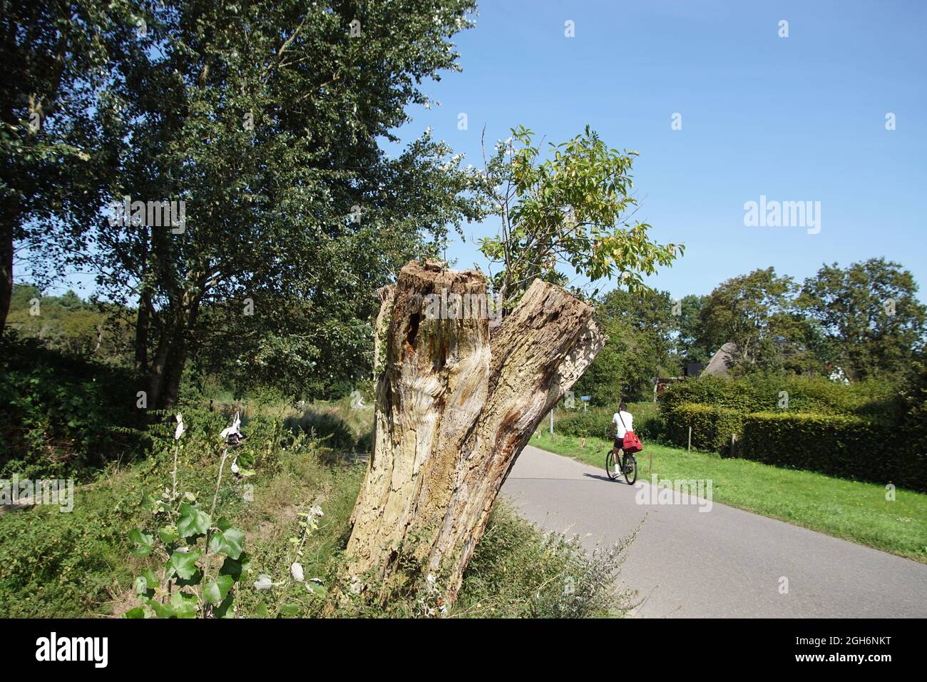 Grass growing along rural road hi-res stock photography and images - Alamy