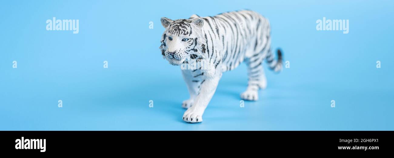 the tiger, symbol of 2022 year. plastic white toy figure tiger on a blue  background. banner Stock Photo - Alamy
