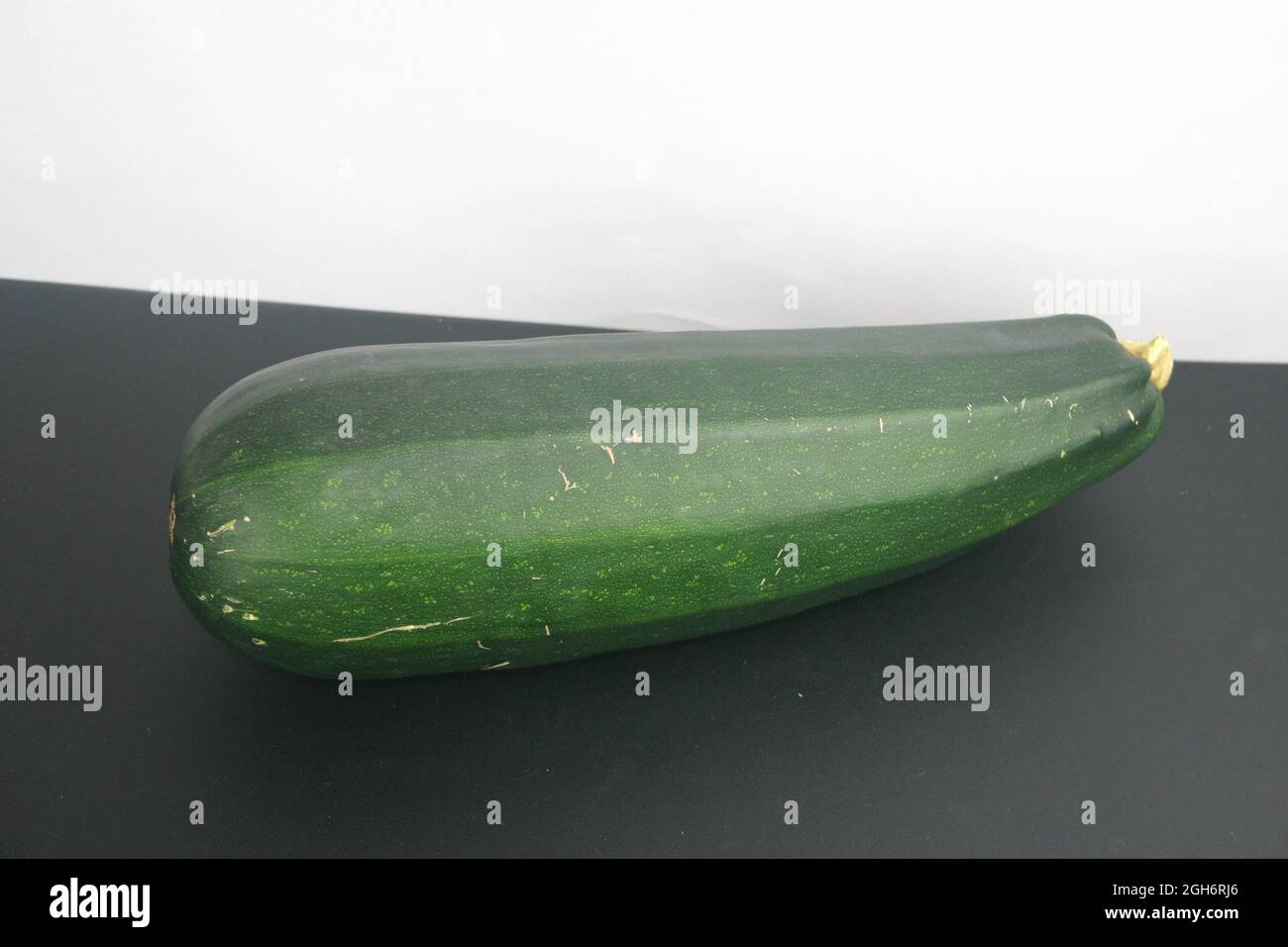 schöne goße Zucchini Bio Stock Photo