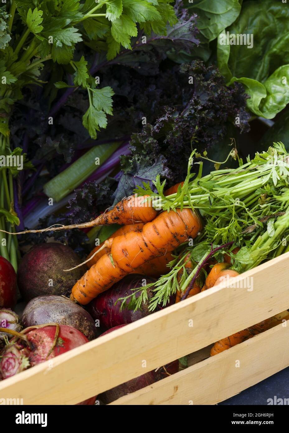 A top view closeup of freshly picked garden vegetables piled up Stock Photo