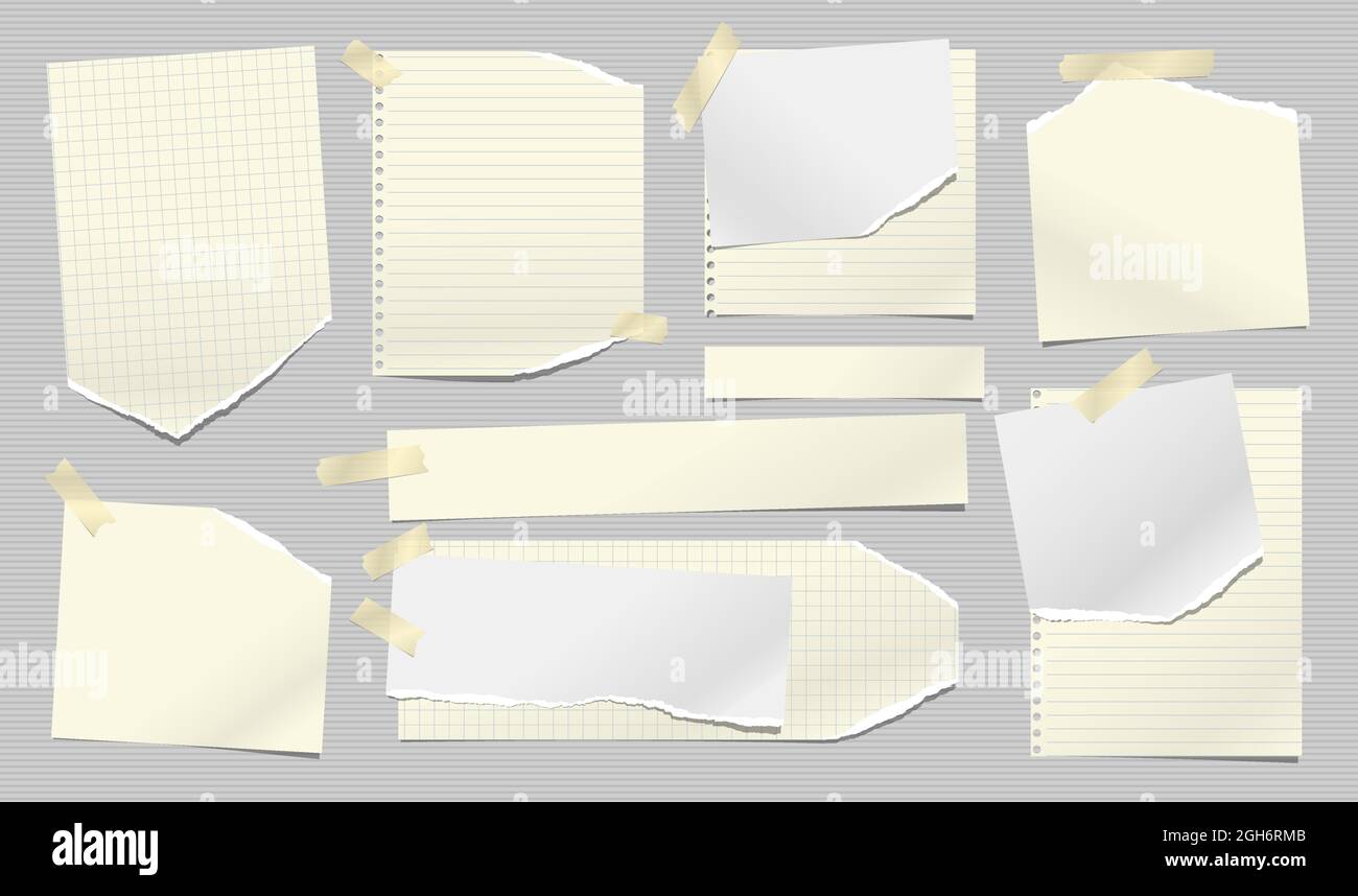 Set of torn yellow note, notebook paper stripes are on grey lined background for text, advertising or design. Vector illustration Stock Vector