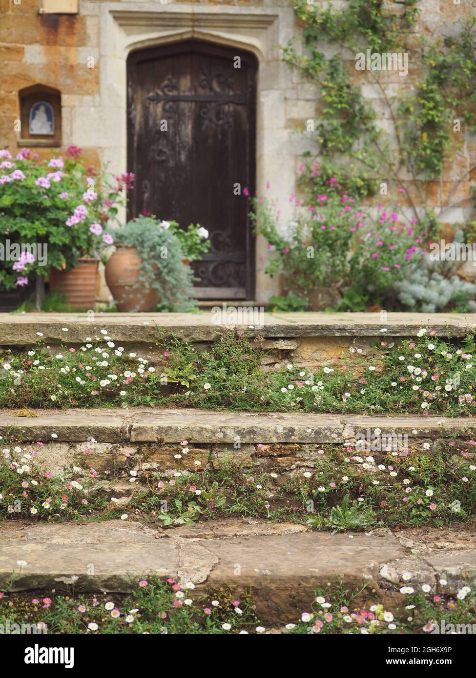 A country house, showing overgrown steps leading to a door, Coton Manor, Northamptonshire, UK Stock Photo