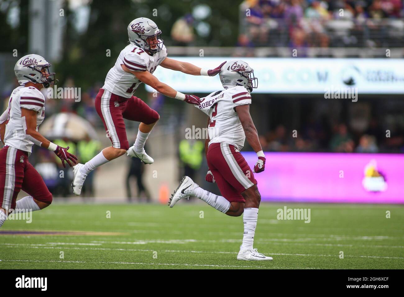 Montana Grizzlies safety Robby Hauck (17) tackles Washington Huskies tight  end Cade Otton (87) during the third quarter of an NCAA college football ga  Stock Photo - Alamy