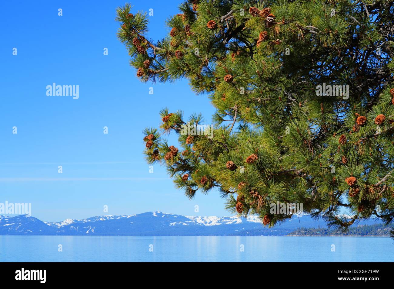 Landscape view of Lake Tahoe with snowcovered mountains and forests