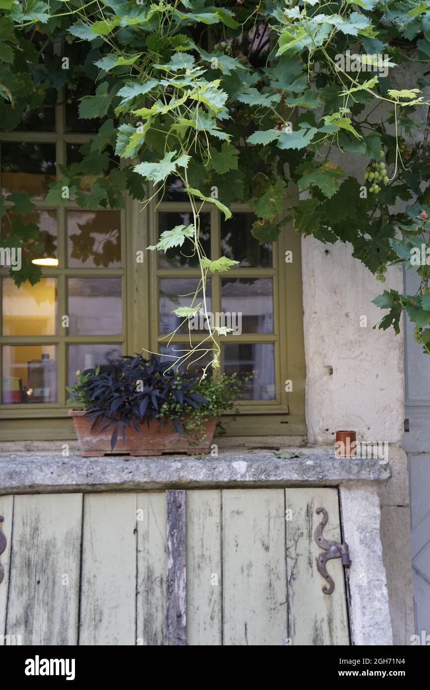 Window boxes in France Stock Photo Alamy