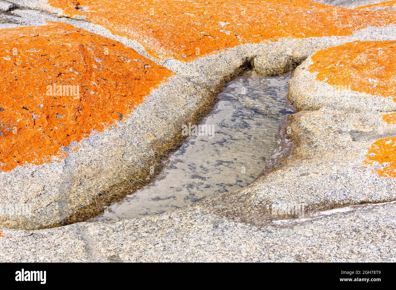 Orange lichen-covered granite boulders in Bay of Fires - The Gardens, Tasmania, Australia Stock Photo
