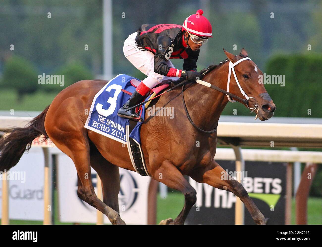 Echo zulu horse hires stock photography and images Alamy
