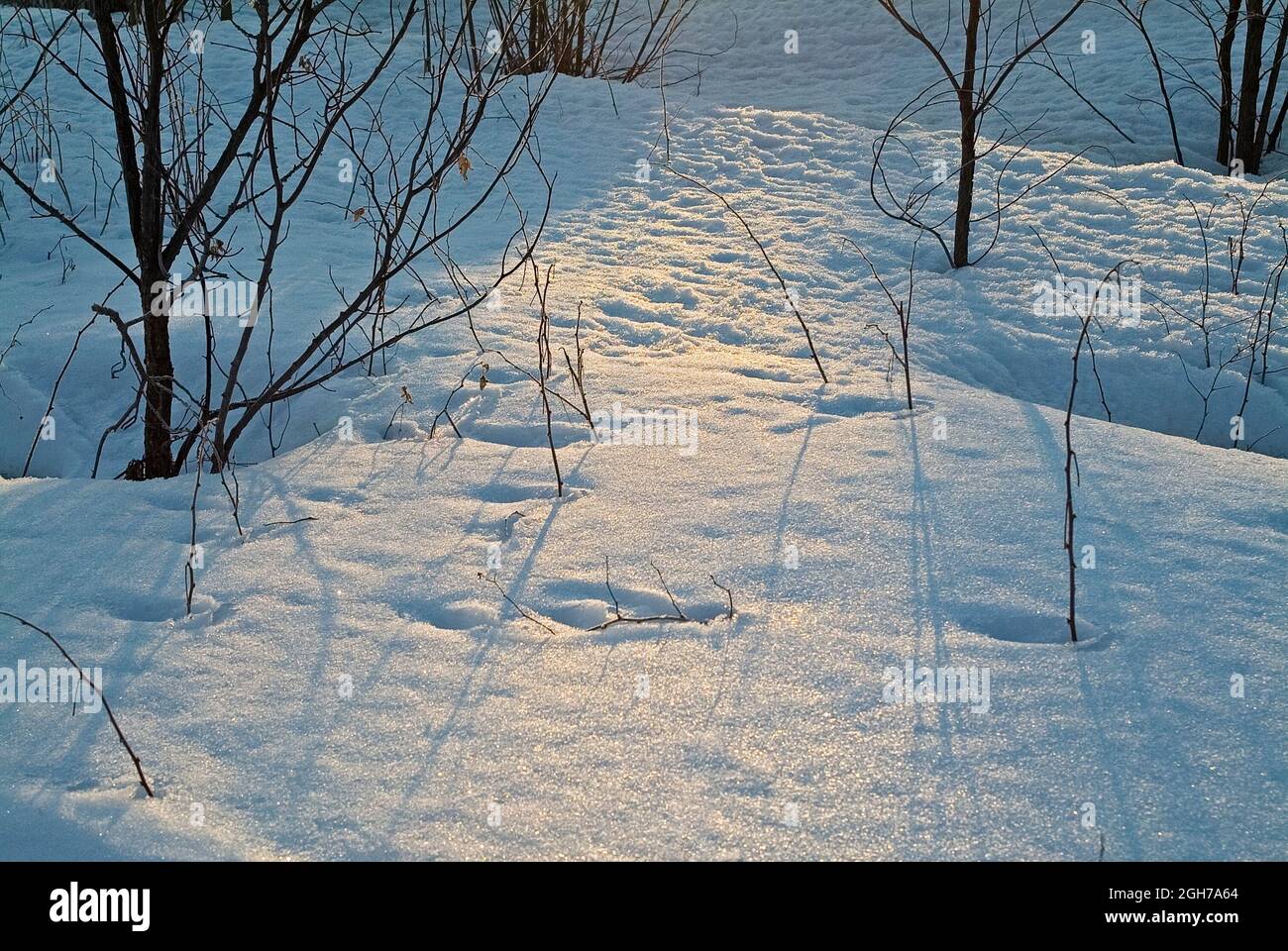 Winter seasonal landscape hi-res stock photography and images - Alamy