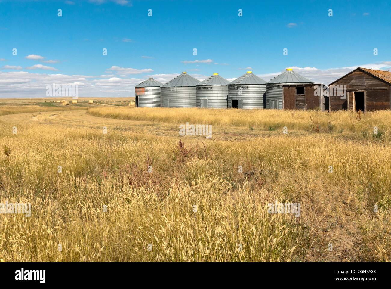 metal storage silos sit next to classic farm sheds. Stock Photo