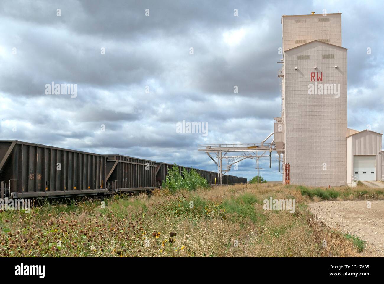 Freight cars at grain elevator siding. Stock Photo