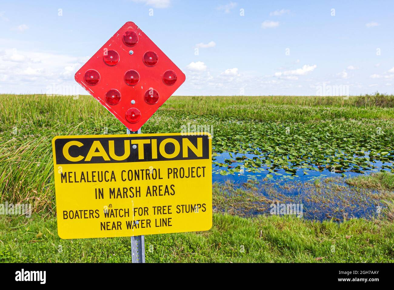 Miami Florida,I-75 Interstate 75 Alligator Alley Everglades,freshwater marsh ecosystem invasive species sign Melaleuca Control Project Stock Photo