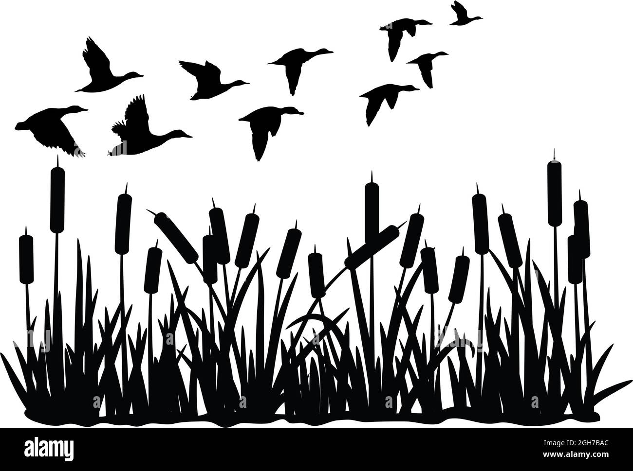 vector silhouette of duck bird flock flight over marsh herbs isolated on white background. group of wild ducks and typhaceae marsh herb Stock Vector