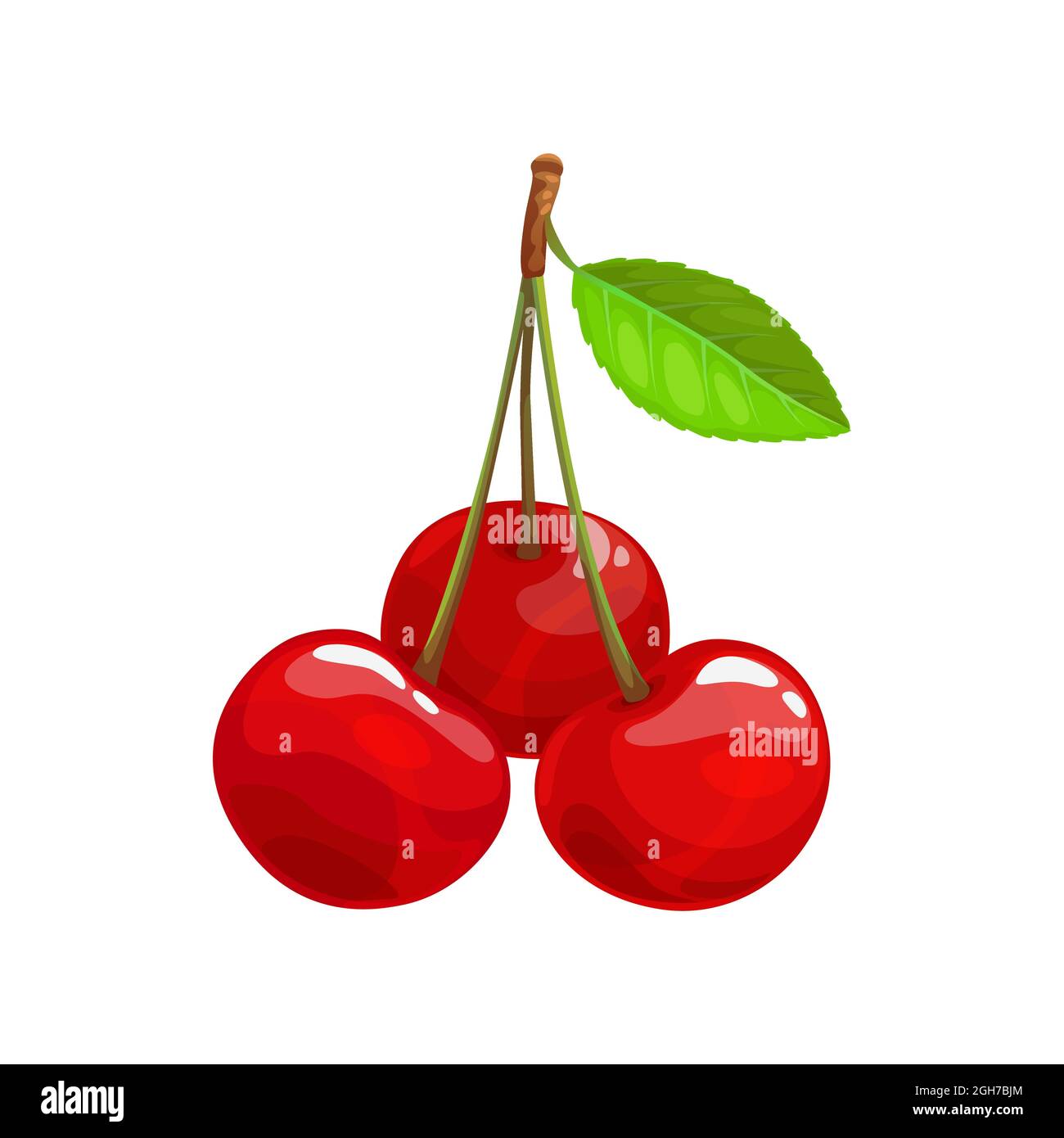 Are Cherries Berries? - Is This That Food
