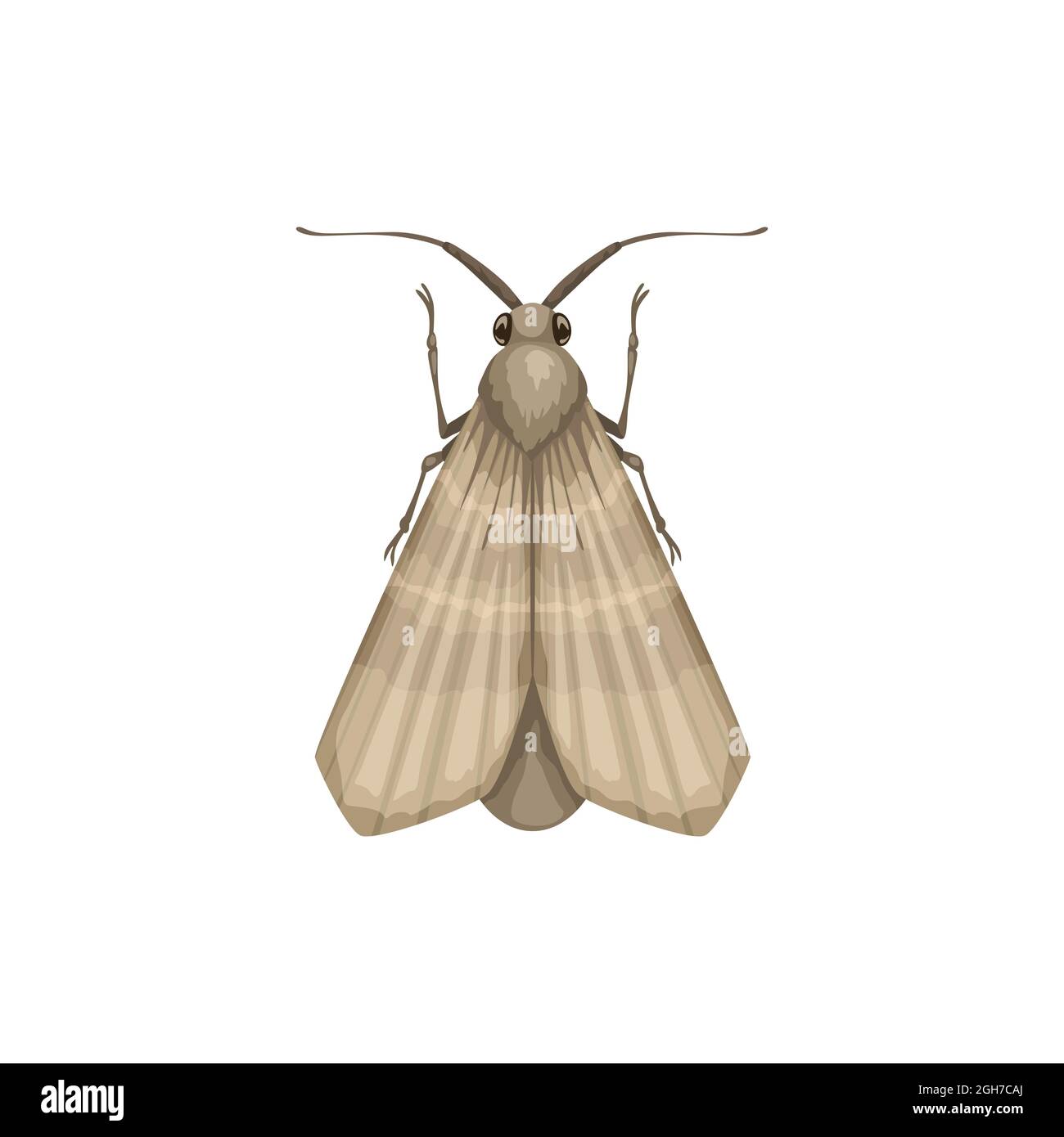 Moth removal Stock Vector Images - Alamy