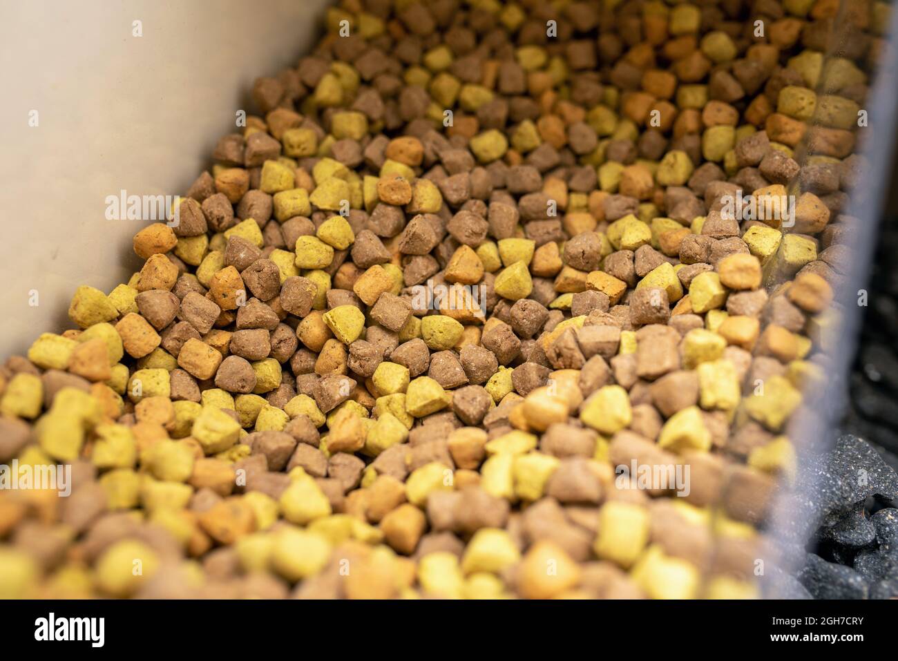 Bulk bin dog treats at a pet store. Bin full ofdog biscuit treats. Stock Photo
