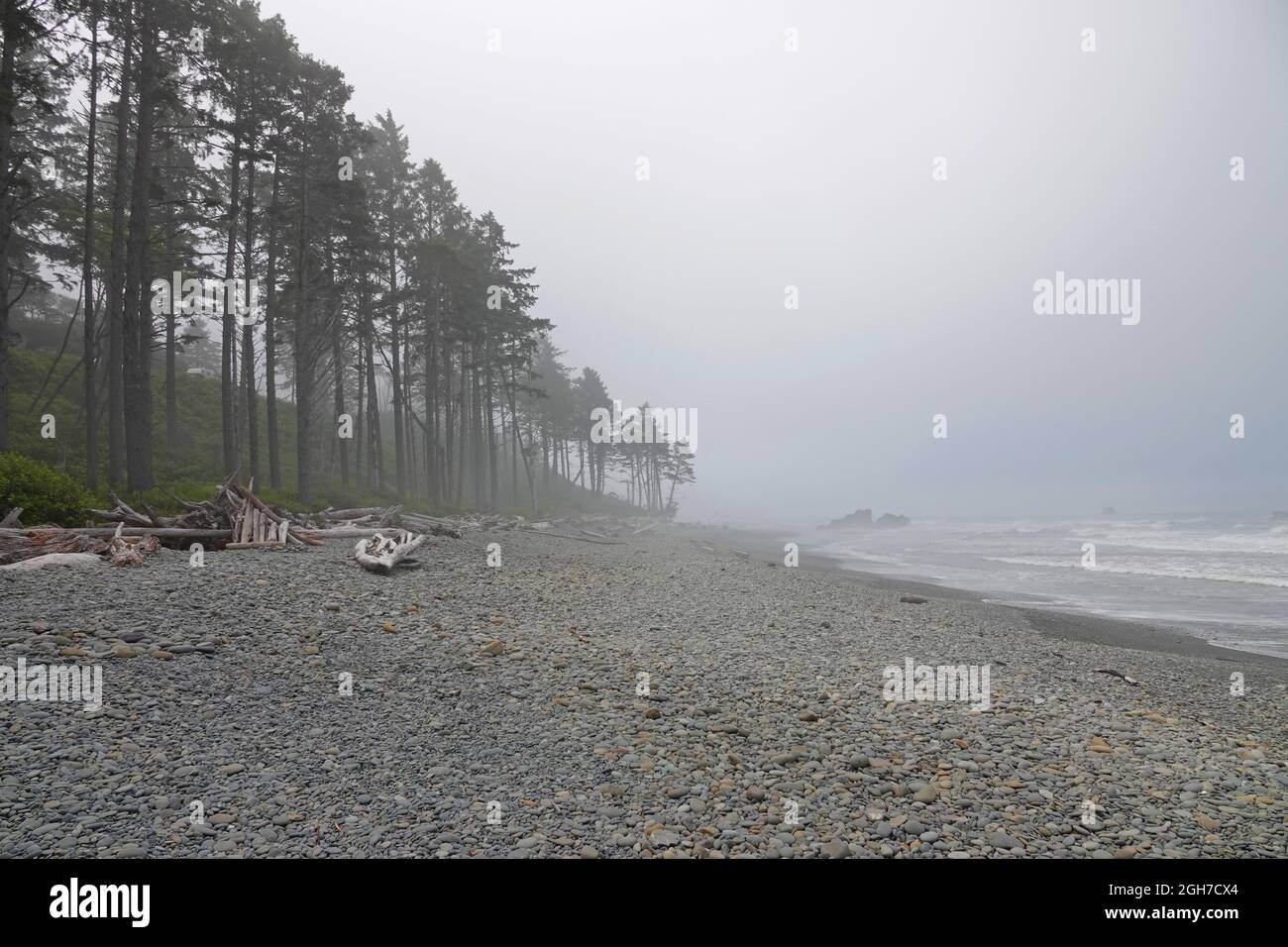 Ruby Beach is shown along the west coast of Washington state, USA during a foggy, summer day. Stock Photo