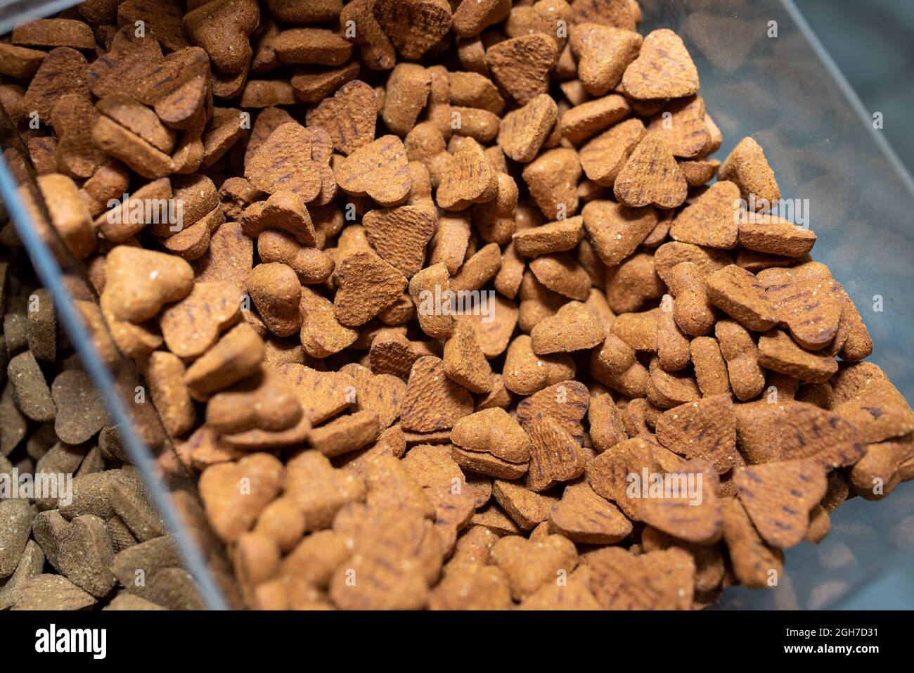 bulk dog biscuits