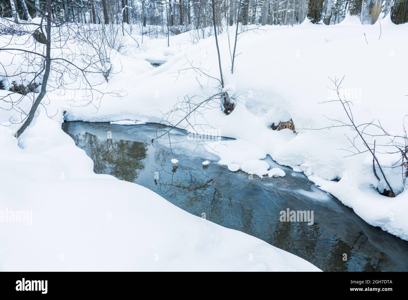 Beautiful river in winter forest hi-res stock photography and images ...