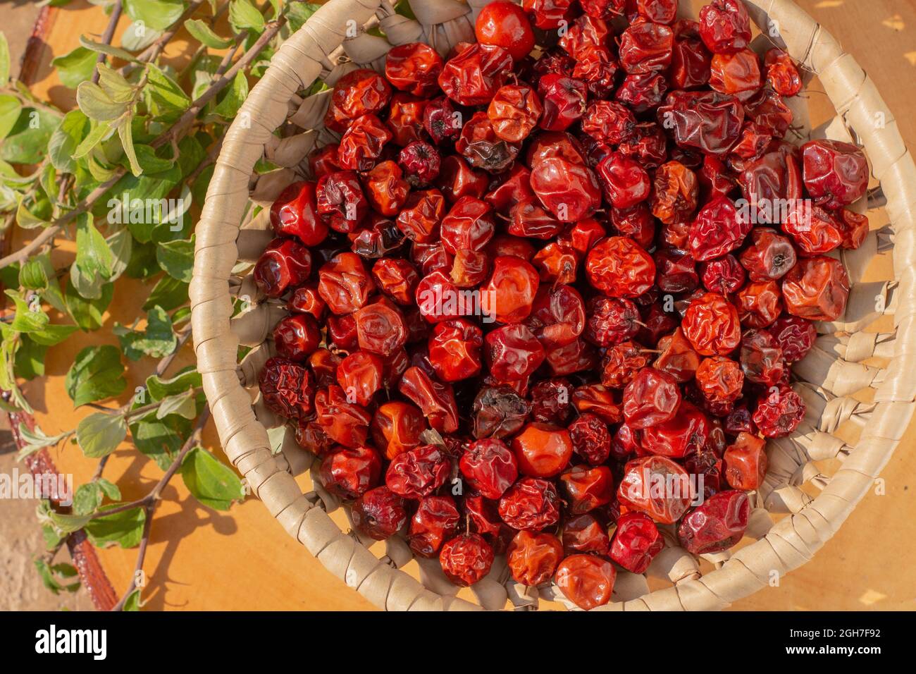 Sun dried Ziziphus jujuba, commonly called jujube, also known as Chinese date, Chinese apple, Indian jujube, Musawu or Maçanica. Stock Photo