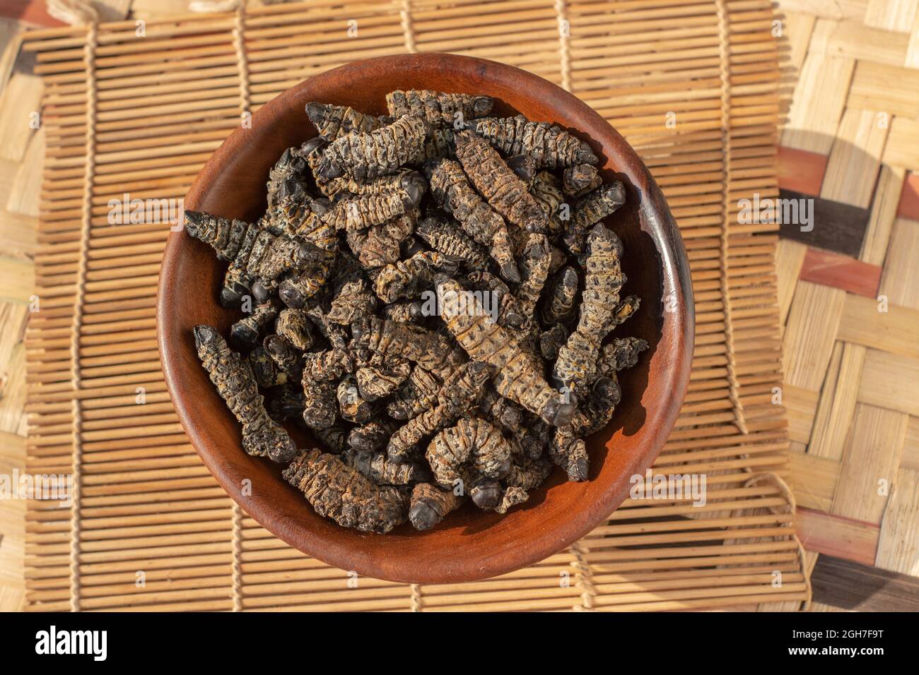 Dried edible mopane worms (Gonimbrasia belina), a type of emperor moth, a popular African delicacy Stock Photo