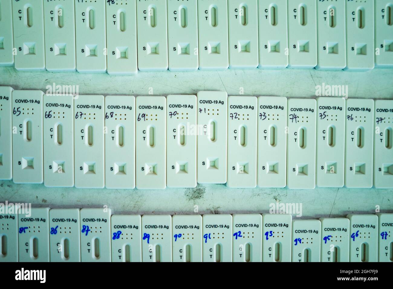 COVID antigen test kits laid out at a testing centre in Bangkok