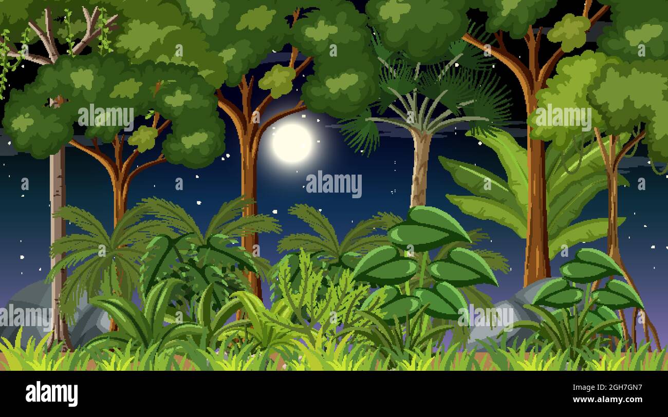 Forest landscape scene at night with many trees illustration Stock ...