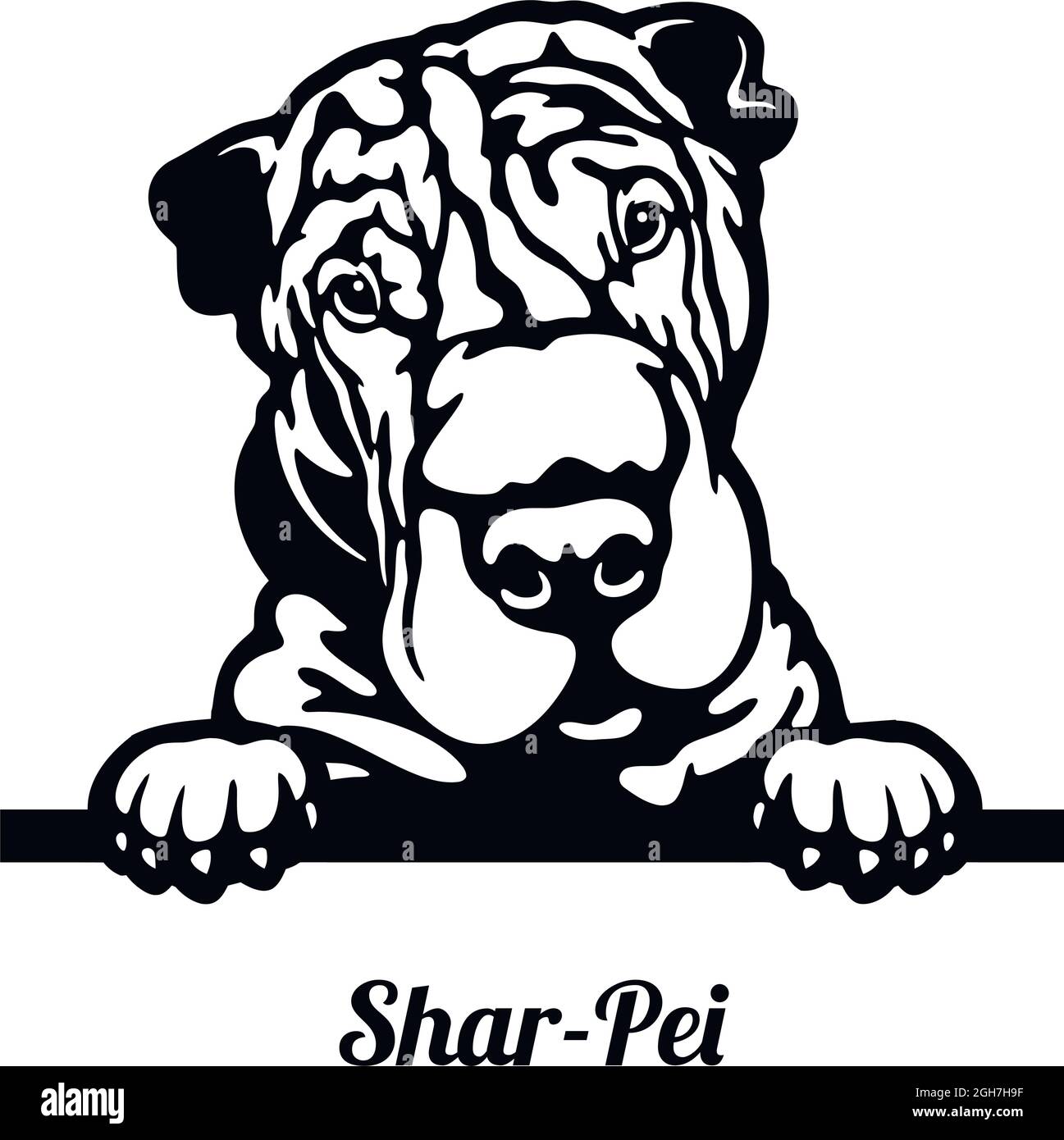 Shar pei dog face Stock Vector Images Alamy