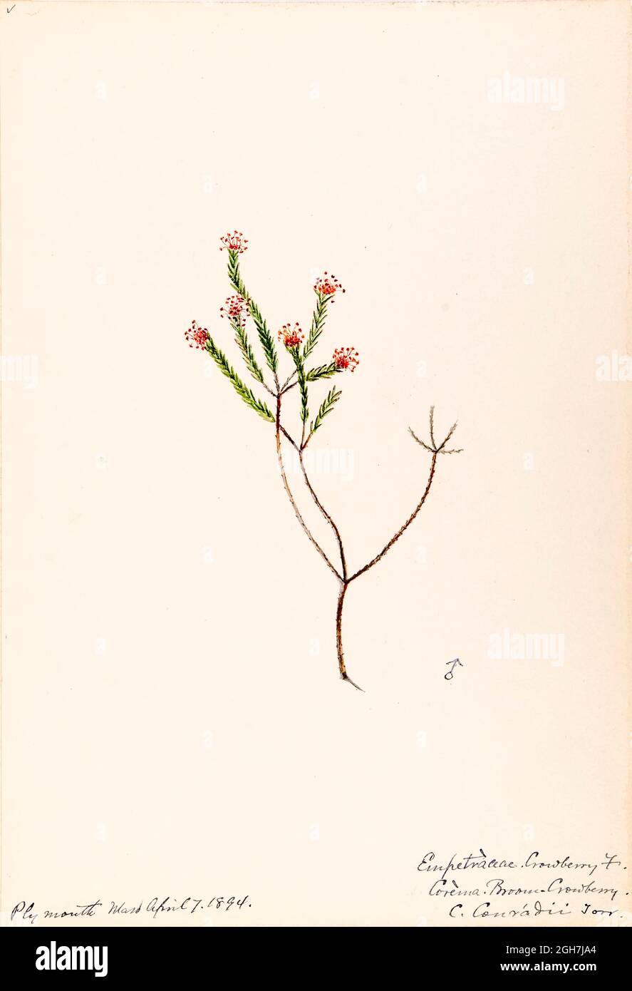 What are traits in common called on a dating site list What are traits in common called on a dating site list