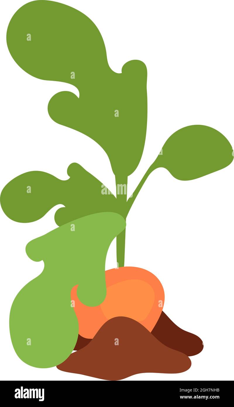 Sweet potato plant semi flat color vector object Stock Vector