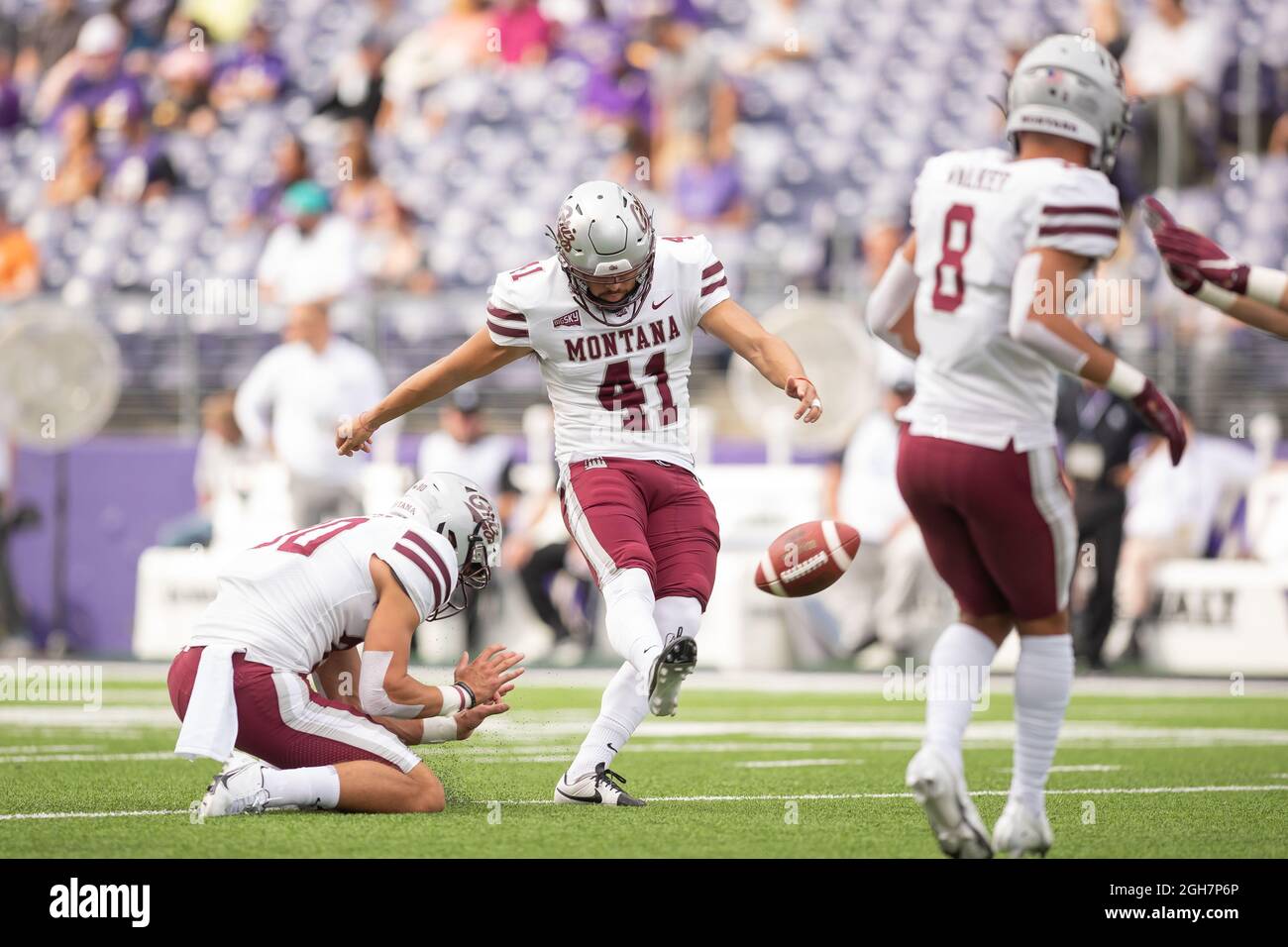 Montana Grizzlies place kicker Kevin Macias (41) practices during warmups of an NCAA college football game between the Washington Huskies and the Mont Stock Photo
