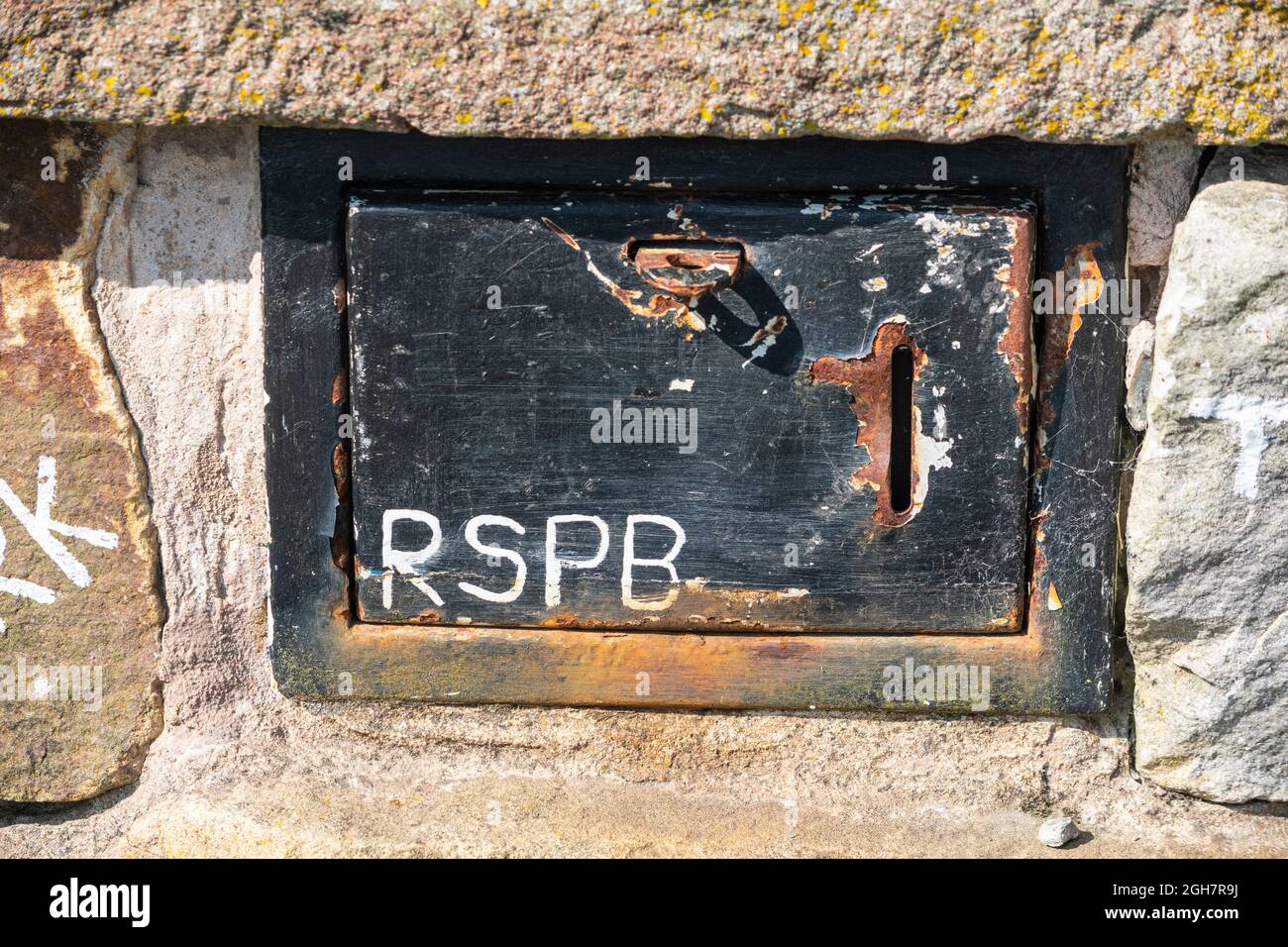Old RSPB donations box in a wall, Geltsdale, Cumbria Stock Photo