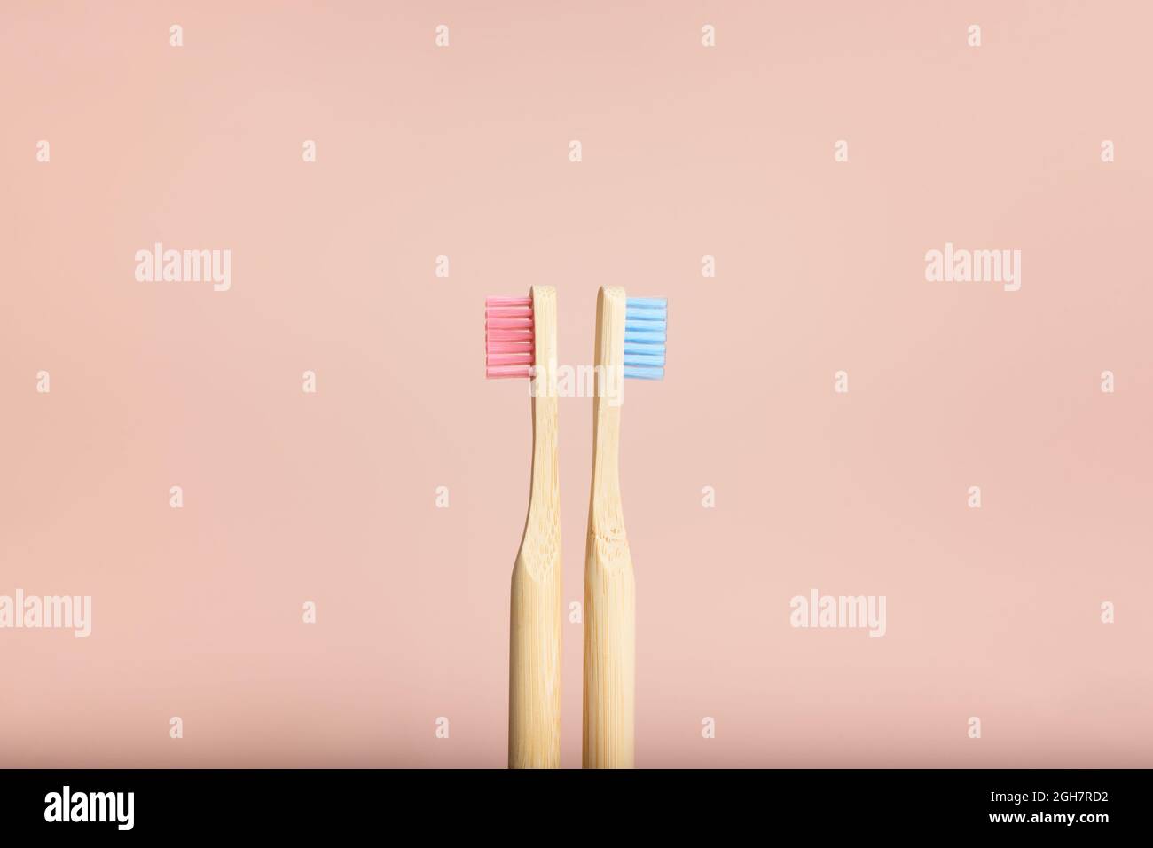 Two eco friendly pink and blue natural bamboo toothbrushes on pink ...