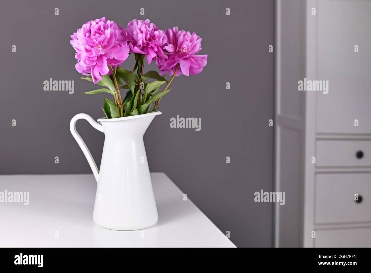 Pink bouquet of Chinese peony flowers in white vase on table in front of gray background Stock Photo