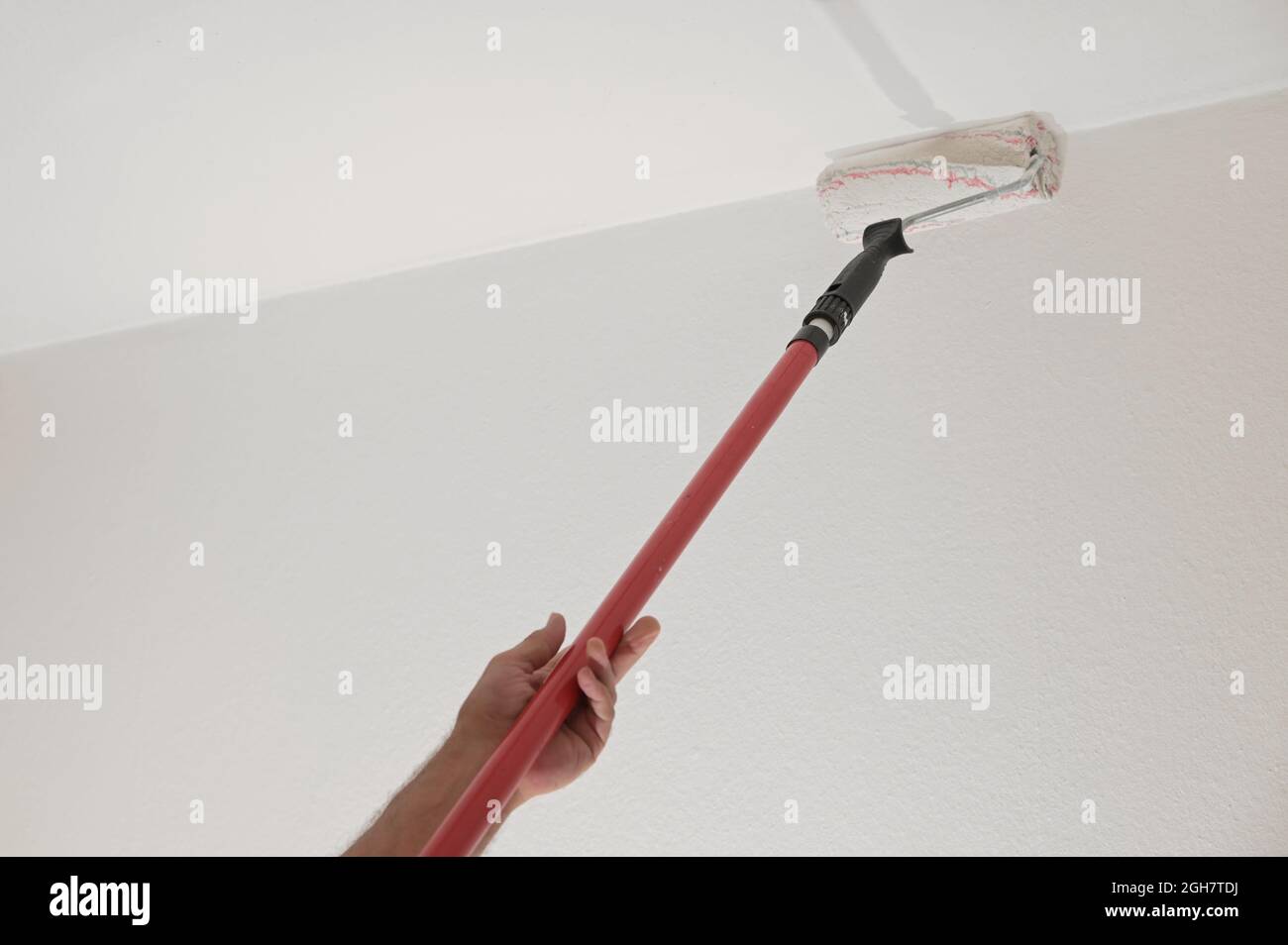 Hand of a man holding a paint roller on a long telescopic pole to paint the ceiling while renovating an apartment, housing concept, copy space, select Stock Photo