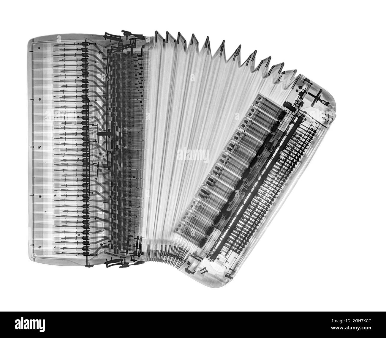 X-ray of an Accordion on white background Stock Photo