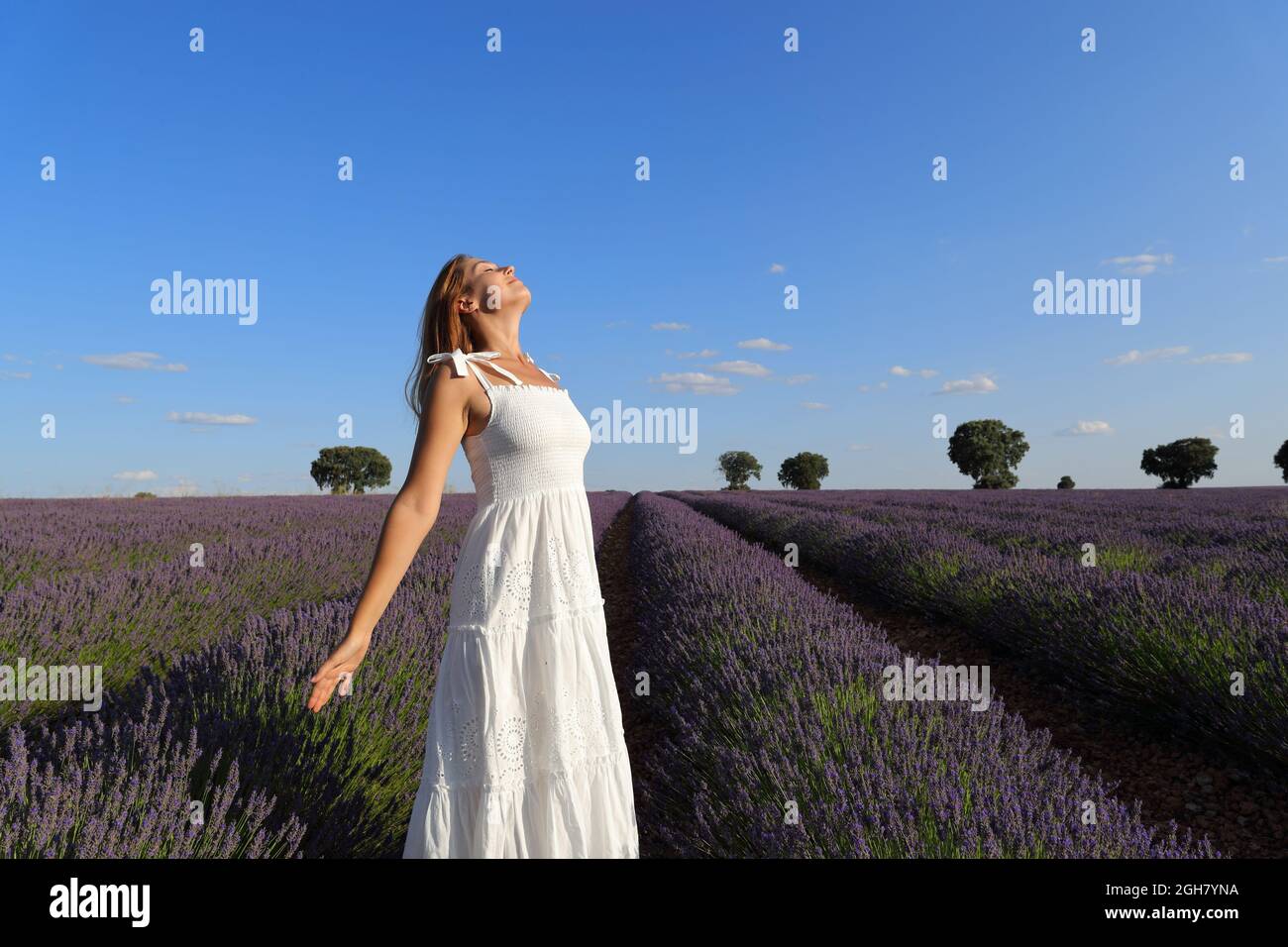 Relaxed woman wearing white dress breathing fresh air in a lavender ...