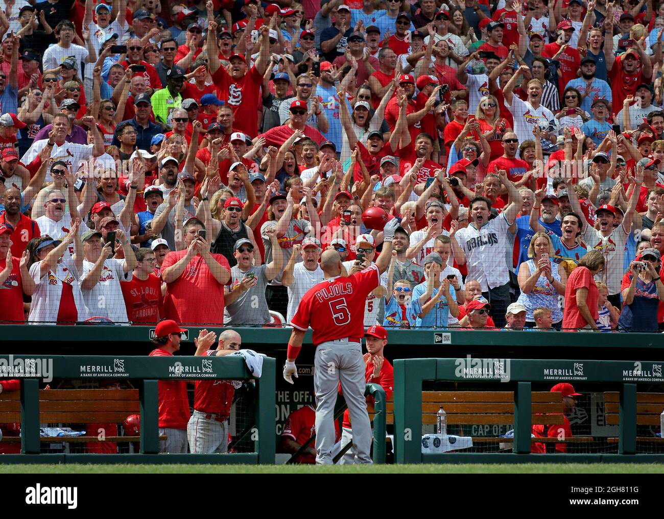 St. Louis, USA. 22nd June, 2019. The Los Angeles Angels' Albert Pujols acknowledges the crowd with a curtain call after hitting a solo home run against the St. Louis Cardinals at Busch Stadium in St. Louis, Missouri, on Saturday, June 22, 2019. (Photo by Christian Gooden/St. Louis Post-Dispatch/TNS/Sipa USA) Credit: Sipa USA/Alamy Live News Stock Photo