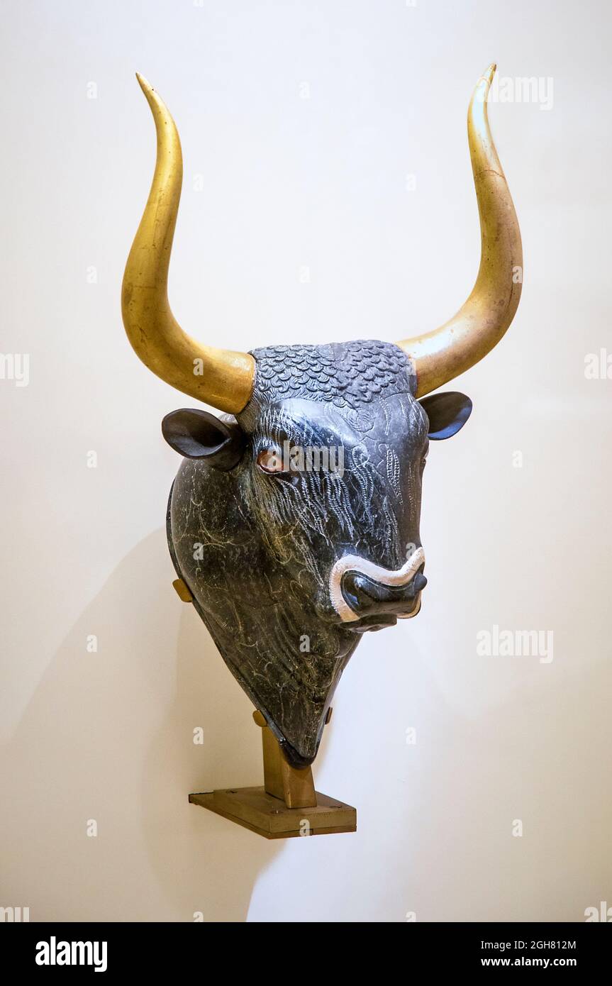 Minoan libation vase, or Rhyton, made of serpentine, in the shape of a bulls head with inlayed eyes and muzzle. From Knossos,  new palace period, 1600 Stock Photo