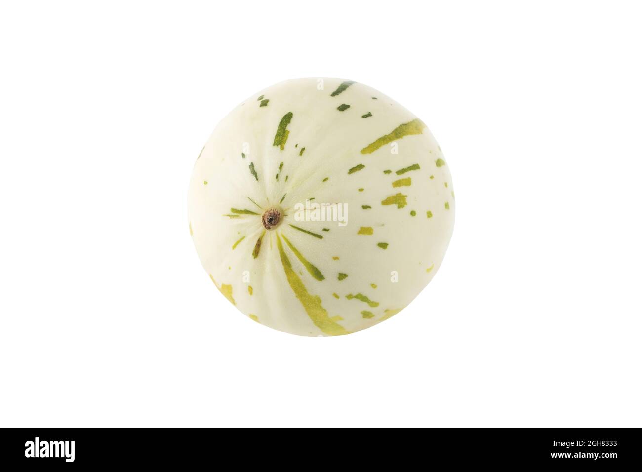 Ivory gaya melon with green and yellow dashed striations and flecks isolated on white. Colorful ripe fruit. Stock Photo