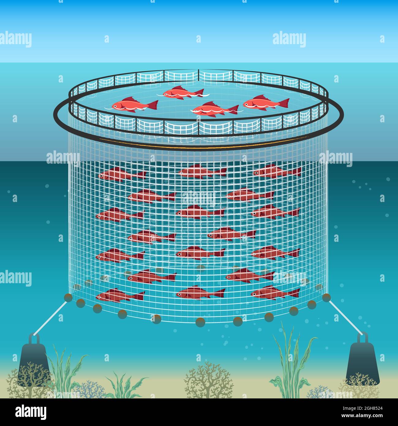 Aquaculture cage fish farming net Stock Vector Images - Alamy