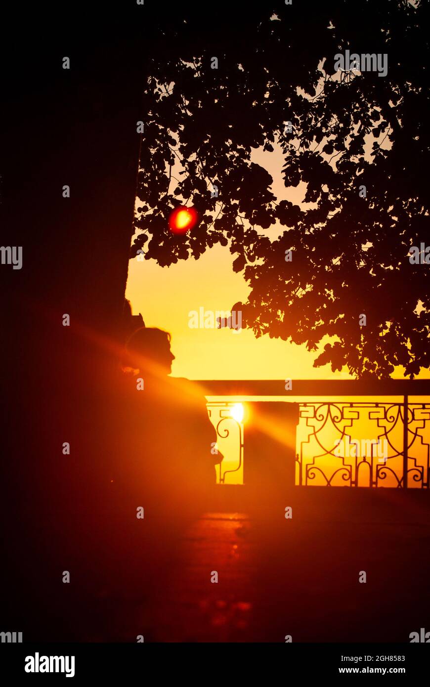 Man leaning against tree silhouette hi-res stock photography and images ...