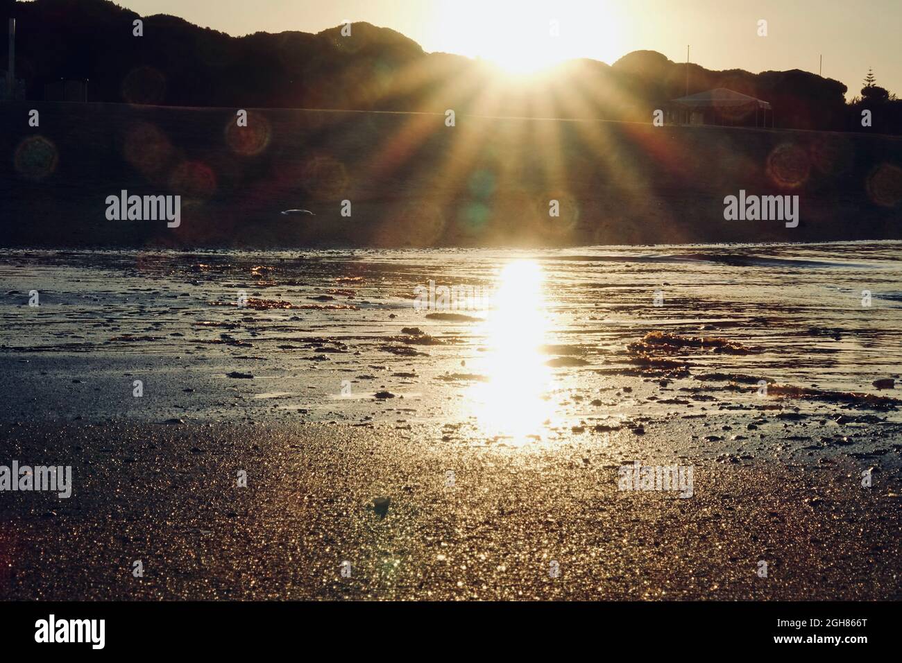 Rising sun with sunbeams on the seashore and bright flashes in the camera lens Stock Photo