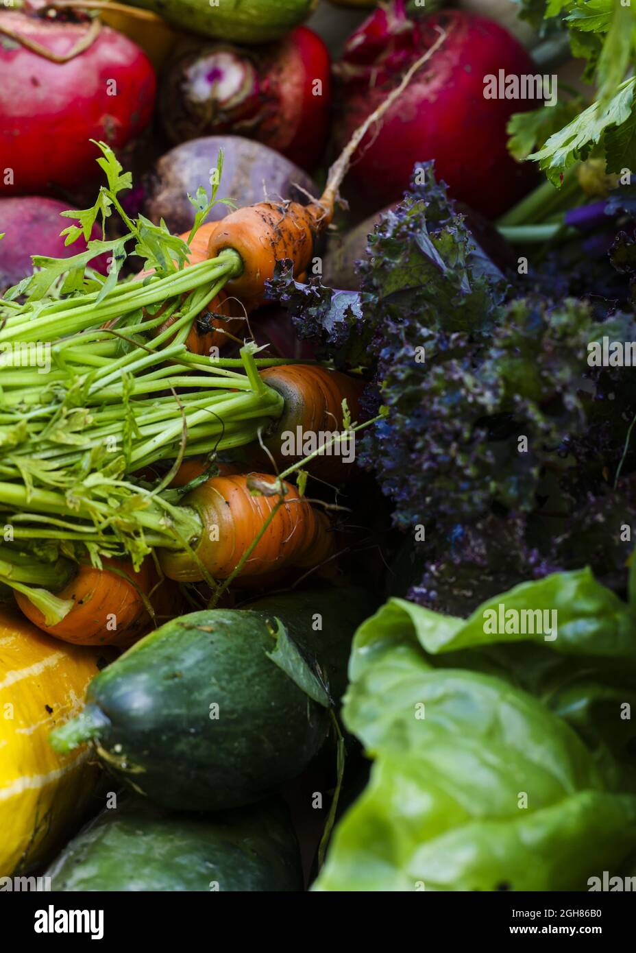 Top view closeup of freshly picked garden vegetables piled up Stock Photo