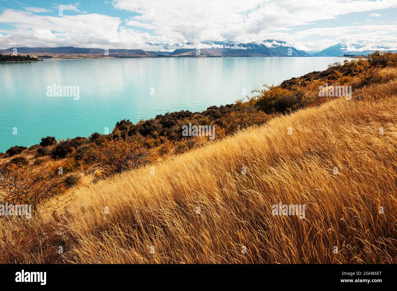 Autumn season in New Zealand mountains Stock Photo Alamy