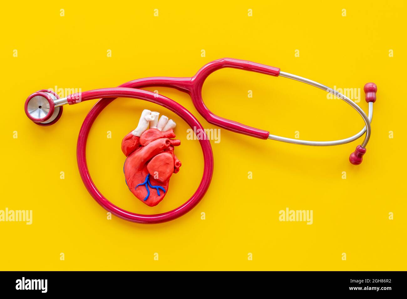 Human heart model with stethoscope top view. Health insurance and heart ...