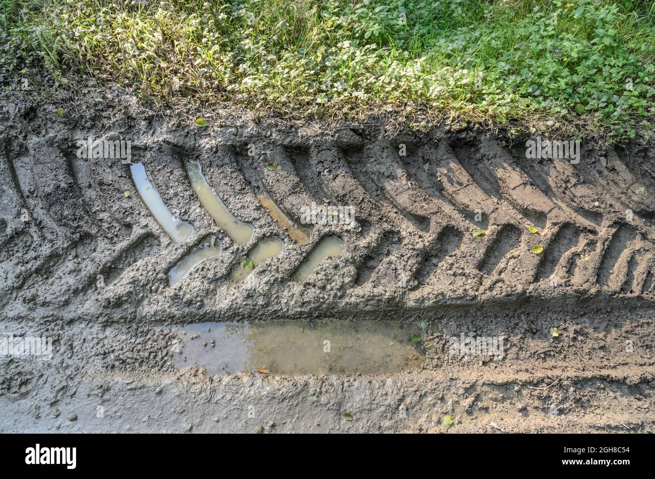 Large and wide tyre tracks or tire marks of a heavy duty tractor on a