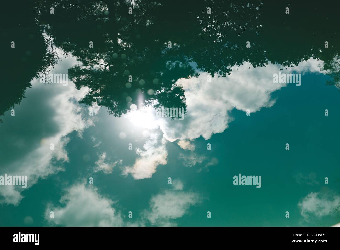 Person reflected in water hi-res stock photography and images - Alamy