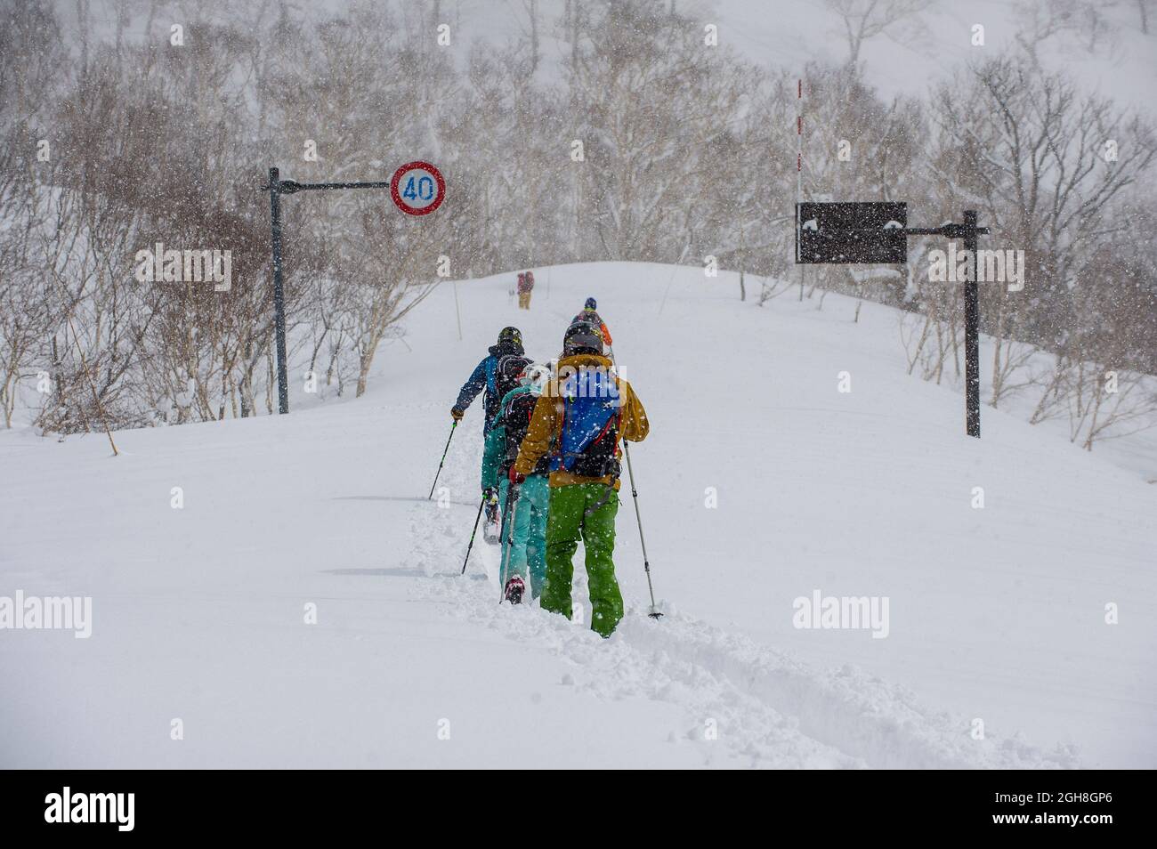 A group of people ski touring up a road closed by snow near Niseko in Japan. Stock Photo