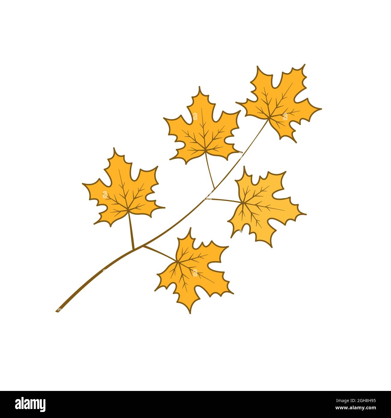 Drawing of a branch with yellow maple leaves. Autumn season. Vector ...